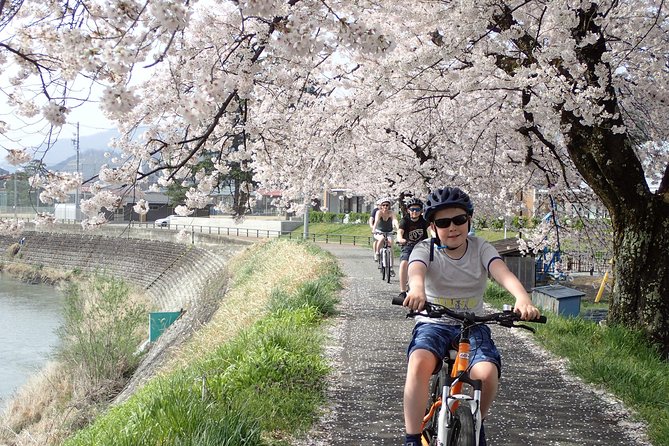 Private Afternoon Cycling Tour in Hida-Furukawa - What the $214.48 price includes