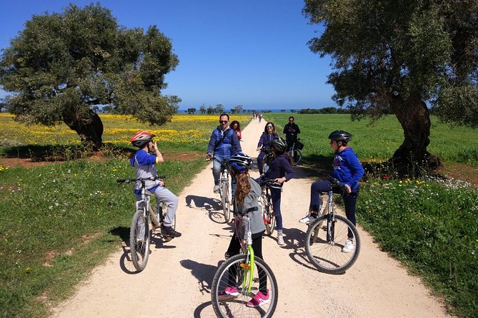 Private Bike Tour with Olive Oil Tasting - Meeting Daniele at Madera Bike Tour