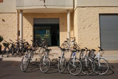 Private Bike Tour with Olive Oil Tasting