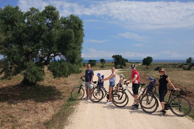 Private Bike Tour with Olive Oil Tasting - What four hours gives you for $138.18