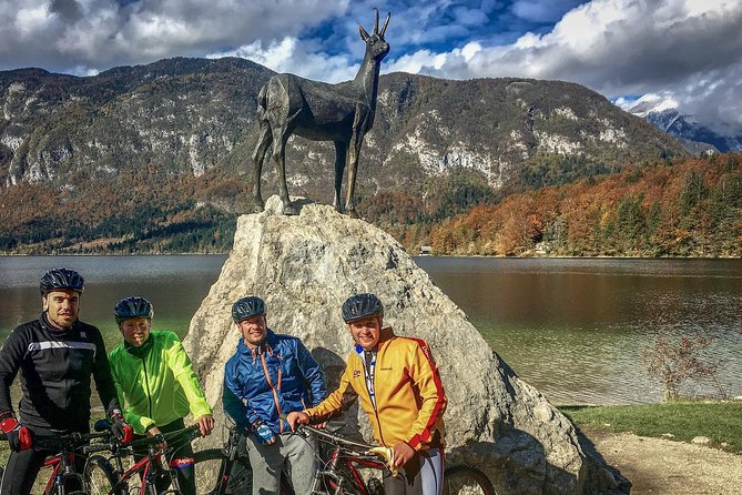 Private Biking Tour in Bohinj Valley - Who should book this ride?