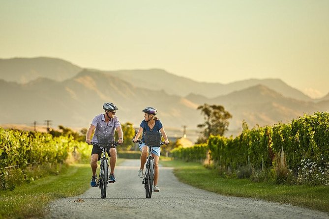 Private Biking Wine Tour (full day) in the Marlborough Region - Five or six winery visits, not just one tasting
