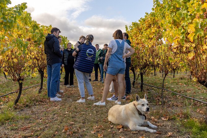 Private Biking Wine Tour (full day) in the Marlborough Region - The winery experience adds substance to the stops