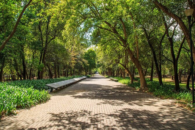 Private Chapultepec Park by Bike Guided Tour - The Fountain of Temperance and the Poets’ Walkway