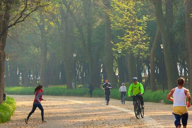 Private Chapultepec Park by Bike Guided Tour - Views of Chapultepec Castle