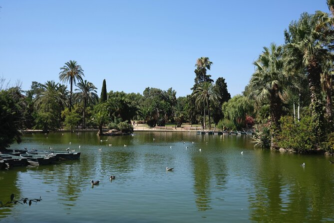 Private discovery bike tour of Barcelona - Barcelona Cathedral and the Roman city below