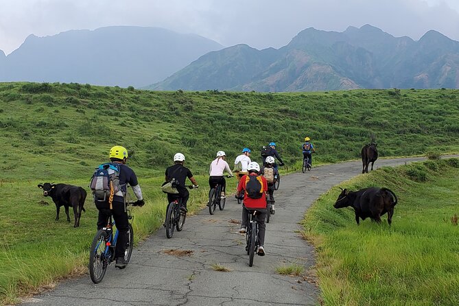 Private E-MTB guided cycling around Mt. Aso volcano & grasslands - Following Kusa no Michi through the grasslands