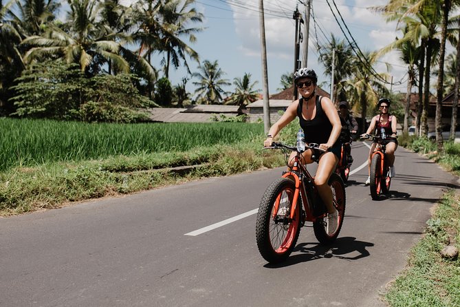Private Fat Tire E-Bike Tour in Ubud - Snacks, water, and the unclear meal detail