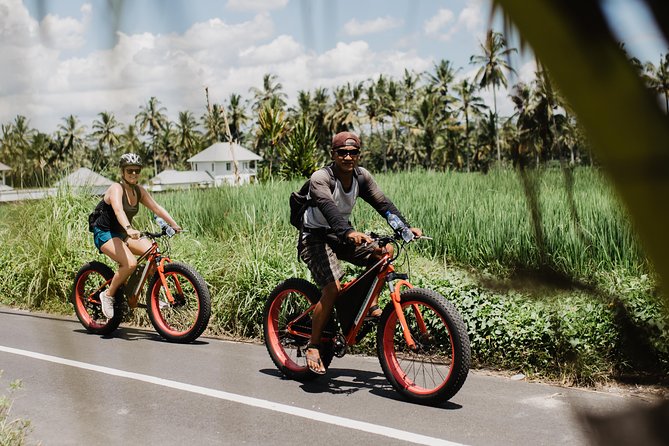 Private Fat Tire E-Bike Tour in Ubud - Pickup, meeting point, and timing