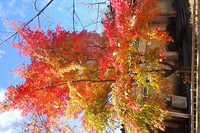 Private-group Morning Cycling Tour in Hida-Furukawa - What is included, and what you need to carry