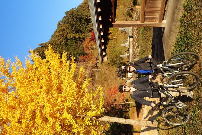 Private-group Morning Cycling Tour in Hida-Furukawa - Weather, family needs, and riding ability