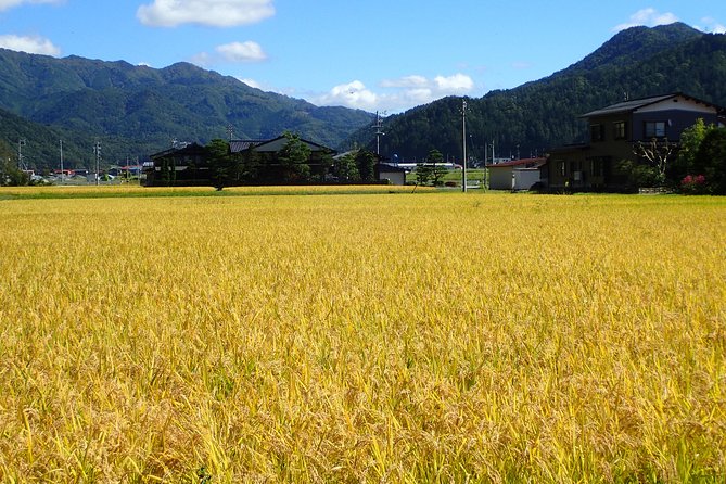 Private-group Morning Cycling Tour in Hida-Furukawa - How the private group changes the experience