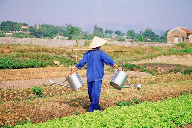 Private Hoi An Evening Food Tastings Tour by Bike - Key points before you book