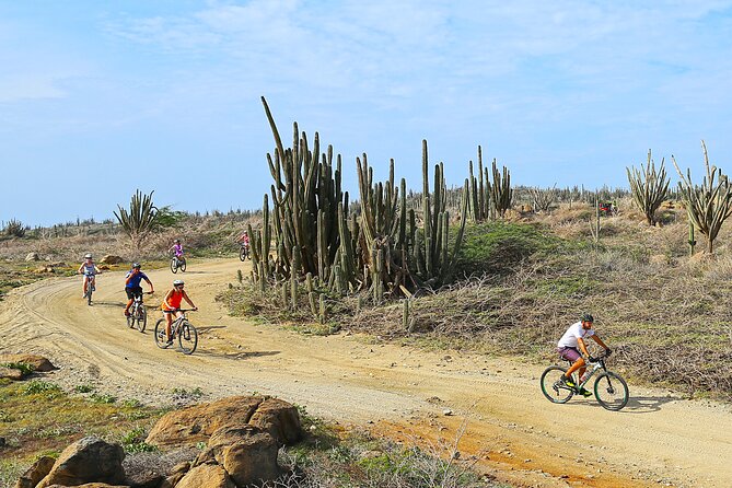 Private Mountain Bike Tour in Aruba - Starting at Rooi Santo near Fisherman’s Huts Beach