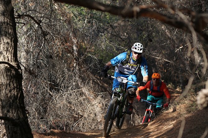 Private Mountain Bike,Trail Ride Tour of Mount Ymittos, Athens. - What experienced riders can expect on Ymittos