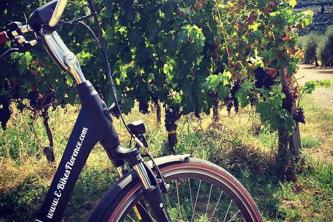 Private Self-Guided E-Bike Ride in Tuscany with Vineyard Visit - Why this ride is different from a Florence day tour