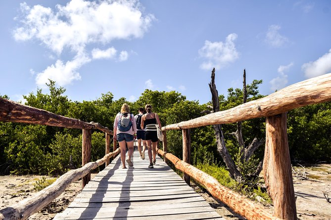 Punta Sur Eco Beach Park Electric Bike Tour in Cozumel - Meeting at Beach Bum Cozumel