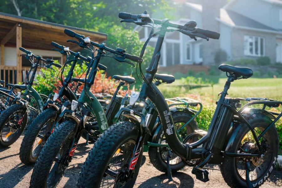 Quebec City: Ile d'Orléans Guided E-Bike Tour with Tastings - Wine, cheese, and the island’s best-known farm stops