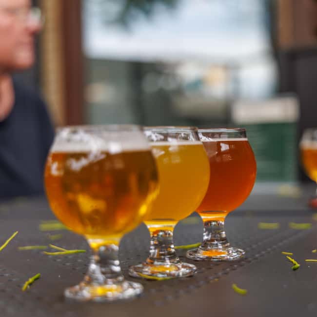 Quebec City: Montmorency Falls and Microbrewery eBike Tour - Domaine de Maizerets brings gardens into the ride