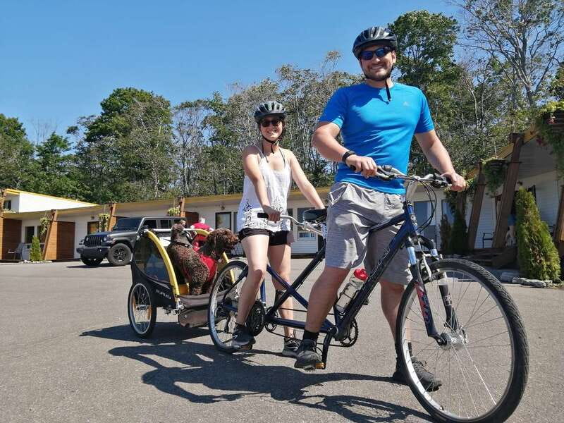 Quebec City - Tandem Bike Rental on Ile d'Orléans - Key points to know before you book