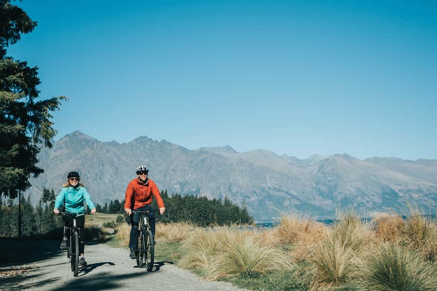 Queenstown: E-bike Hire on the Queenstown Trail - Following Lake Whakatipu toward Frankton