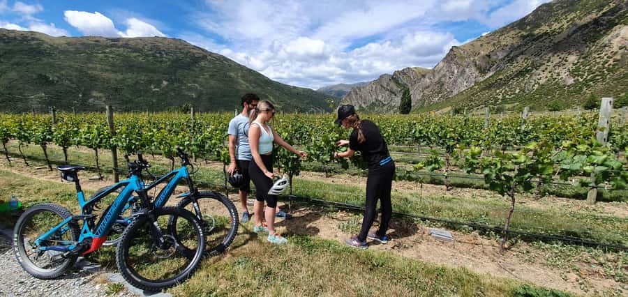 Queenstown: Guided E-Bike Tour with Winery Visits & Tastings - From Frankton to Arrowtown by E-Bike