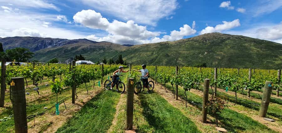 Queenstown: Guided E-Bike Tour with Winery Visits & Tastings - Arrowtown, Gold-Mining History, and River Views