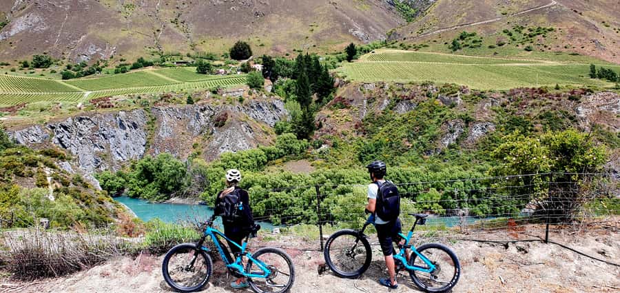 Queenstown: Guided E-Bike Tour with Winery Visits & Tastings - Through Gibbston Valley Vineyards