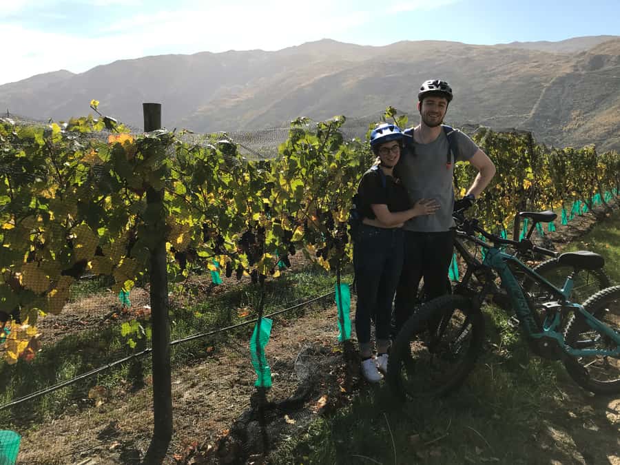 Queenstown: Guided E-Bike Tour with Winery Visits & Tastings - What $194 Buys You