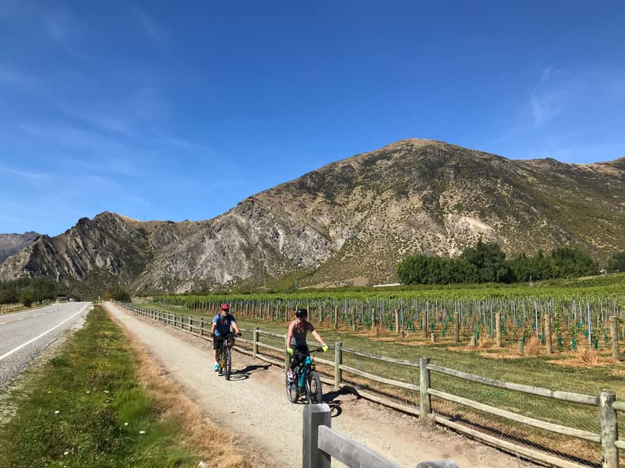 Queenstown: Guided E-Bike Tour with Winery Visits & Tastings - Who Will Enjoy This Most
