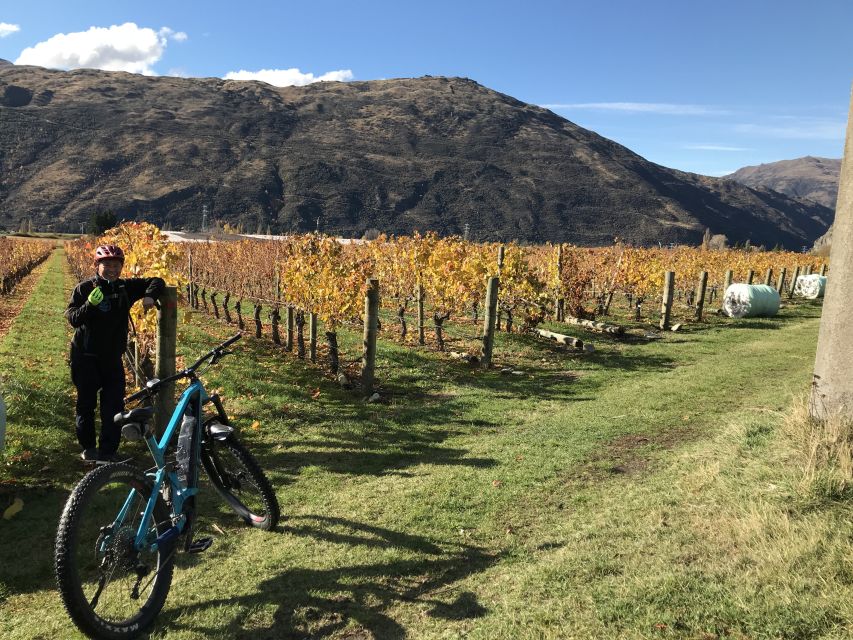 Queenstown: Guided E-Bike Tour with Winery Visits & Tastings - Timing, Transport, and Practical Details