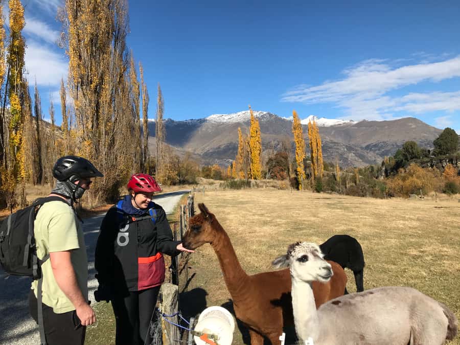 Queenstown: Guided E-Bike Tour with Winery Visits & Tastings - The Kawarau Bridge Stop
