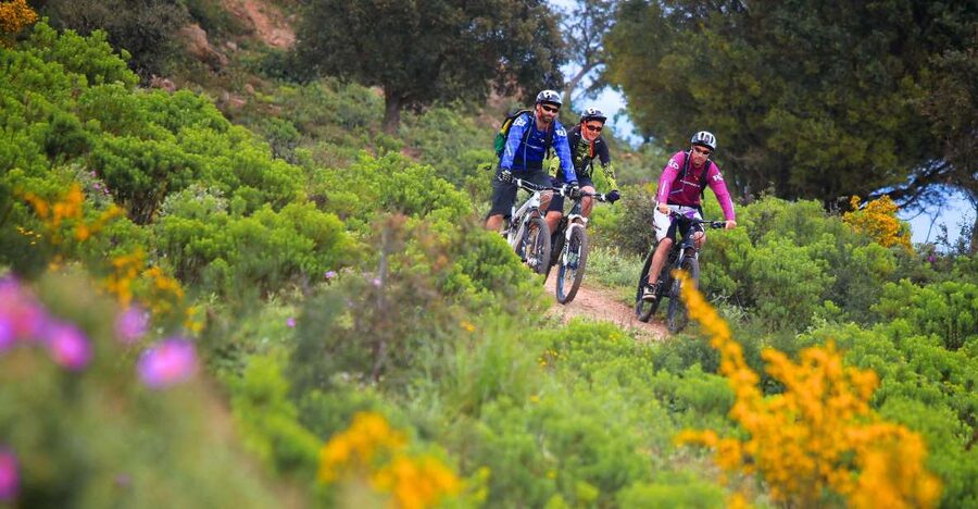 Ramatuelle: Tracks & Tasting Winery Tour by Mountain E-Bike - Why this ride works near Ramatuelle