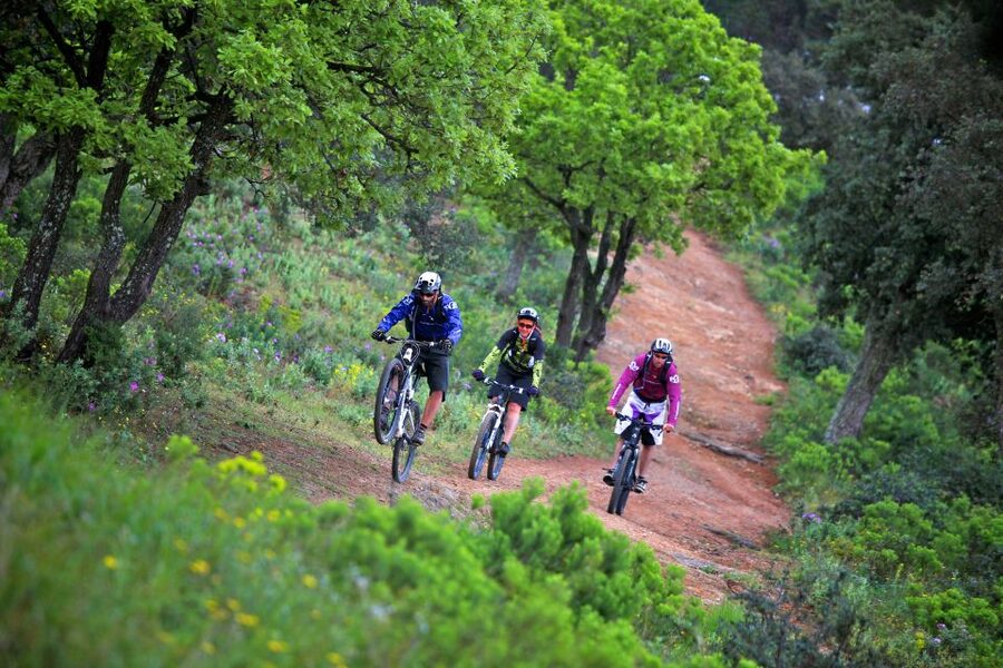 Ramatuelle: Tracks & Tasting Winery Tour by Mountain E-Bike - Doubletracks, singletracks, and choosing your pace