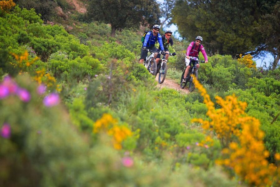 Ramatuelle: Tracks & Tasting Winery Tour by Mountain E-Bike - Who should book this experience