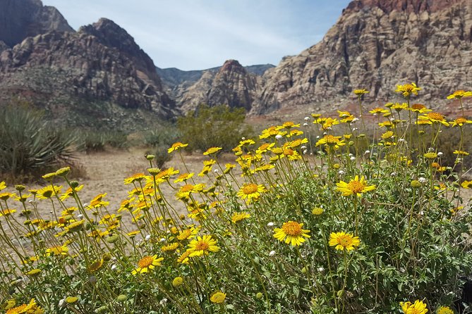 Red Rock Canyon eBike Half-Day Tour - What the $137 price includes