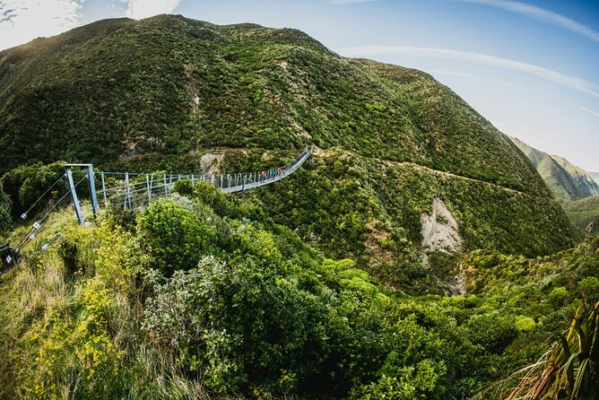 Remutaka Rail Trail Mountain Bike Explorer Cycle Tour - Quick facts about the Remutaka Rail Trail ride