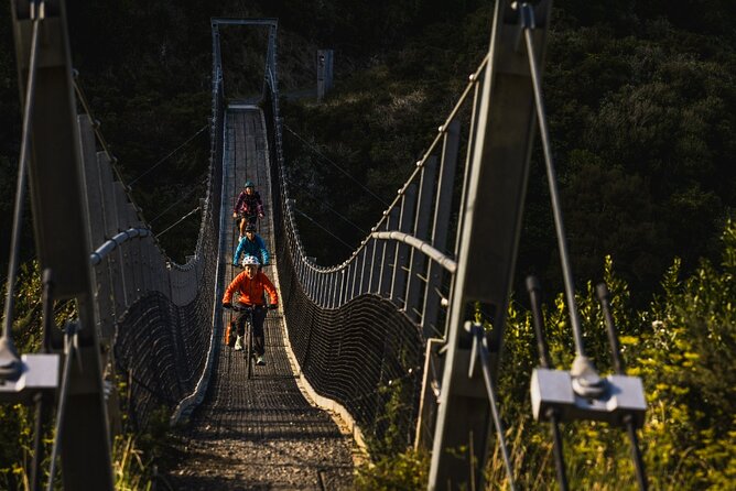 Remutaka Rail Trail Mountain Bike Explorer Cycle Tour - The Cross Creek descent and the rough final section