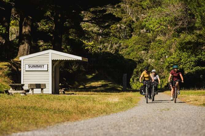 Remutaka Rail Trail Mountain Bike Explorer Cycle Tour - From Wellington Station to Kaitoke Forest