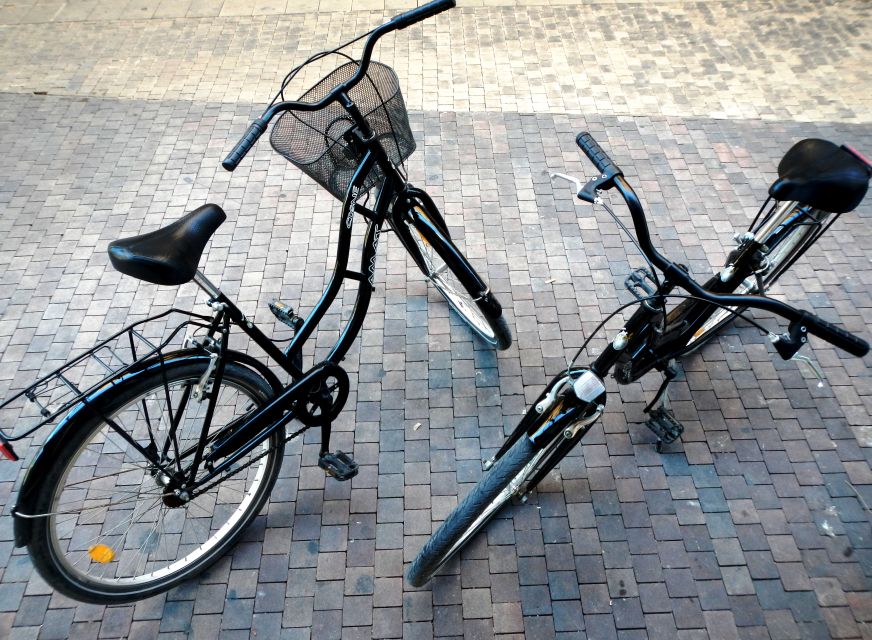Rent a bike in Malaga - Why a Málaga bike rental can work so well