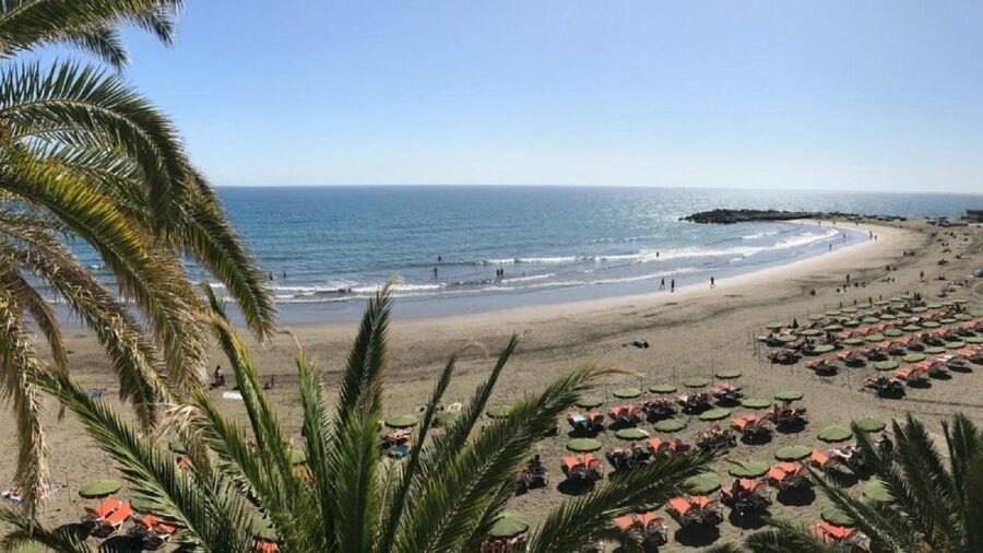 Rent a City Bike 18 gears from 4 hours to 7 days: Maspalomas - The botanical garden with 500 tropical plant species