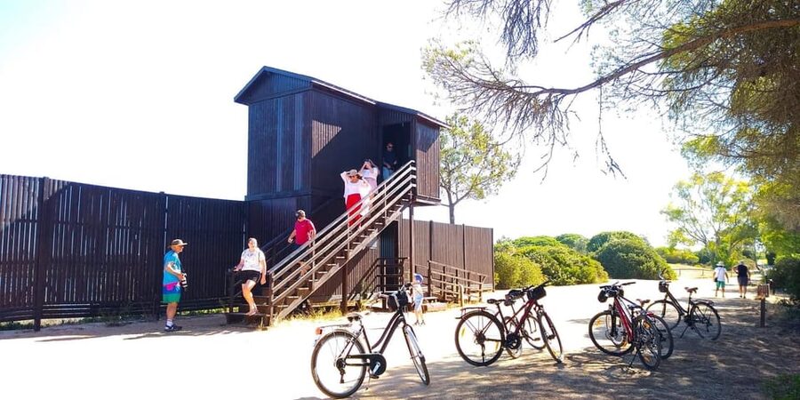 Ria Formosa: Guided Bike Tour (3h), Início na Quinta do Lago - Lakes, marshes, and the search for flamingos