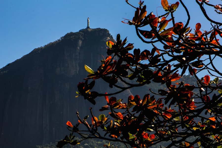 Rio de Janeiro: Guided Bike Tours in Small Groups - The 4-hour panoramic route: Flamengo, Lapa, and old Rio