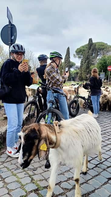 Rome: Appian Way, Aqueducts, & Catacombs E-Bike Guided Tour - Riding the ancient Appian Way