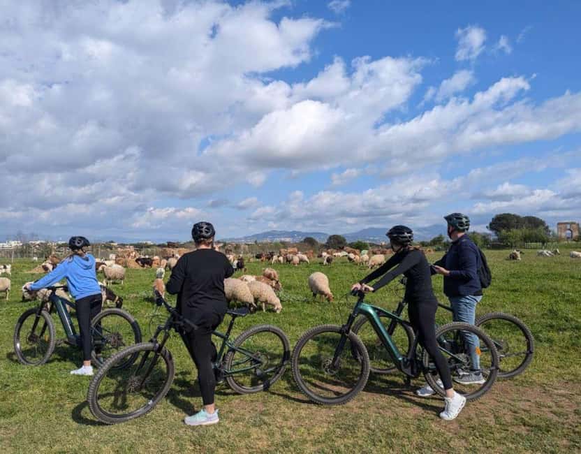 Rome: Appian Way E-Bike tour & Ancient Underground Labyrinth - Guide quality and group size