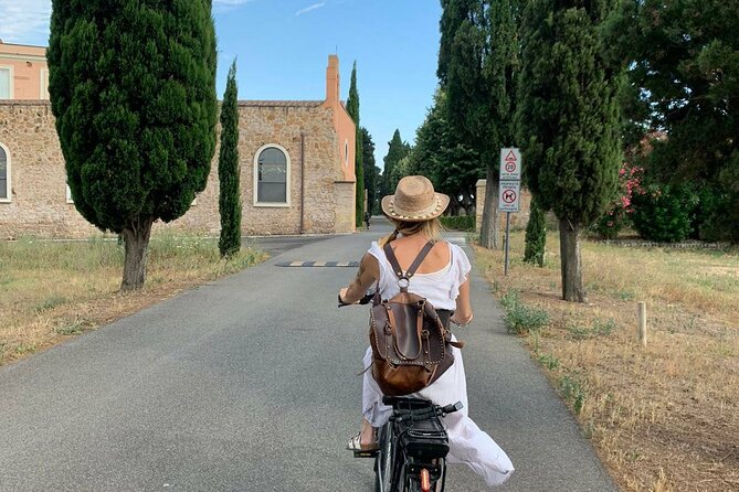 Rome: Appian Way E-bike Tour, Catacombs, Aqueducts & Transfer - Aqueduct Park provides the big view