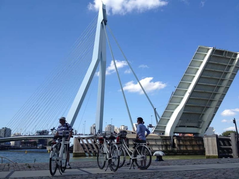 Rotterdam: City Highlights Guided Bike Tour - Erasmusbrug and the skyline view