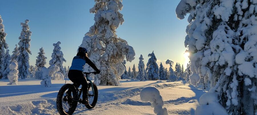 Saariselkä: Guided Fatbike Tour - What the Saariselkä fatbike ride is really like