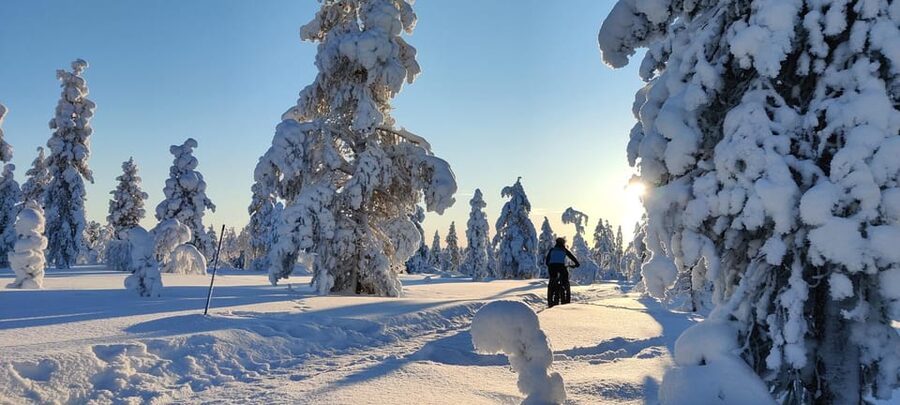 Saariselkä: Guided Fatbike Tour - Fell routes for bigger views and harder work
