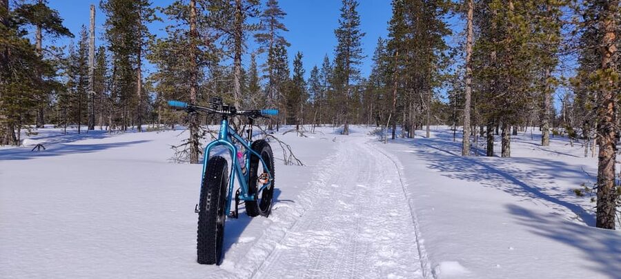 Saariselkä: Guided Fatbike Tour - The warm drink break is part of the value